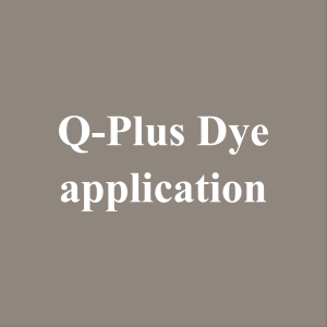 Q-Plus Dye application